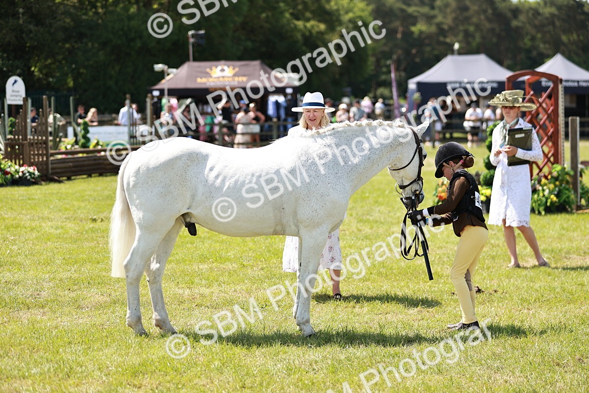 SBM_15654 - Class 108-109 - BSPS LIHS Open Gradle & Nursery Stakes
