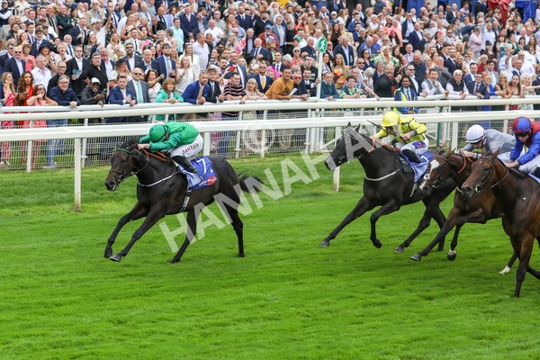 240823-Race 1-Relief Rally-5024 - Race 1 1.50pm Sky Bet Lowther Stakes