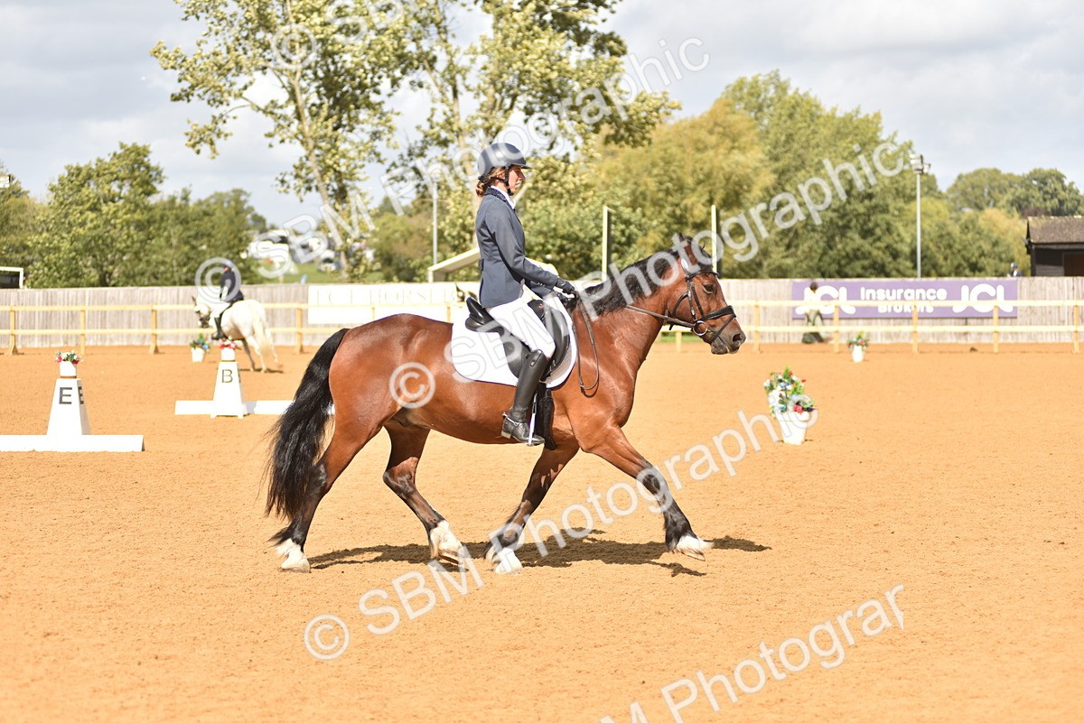 SBM_07810 - D15 - Small Tour Championship Novice 1