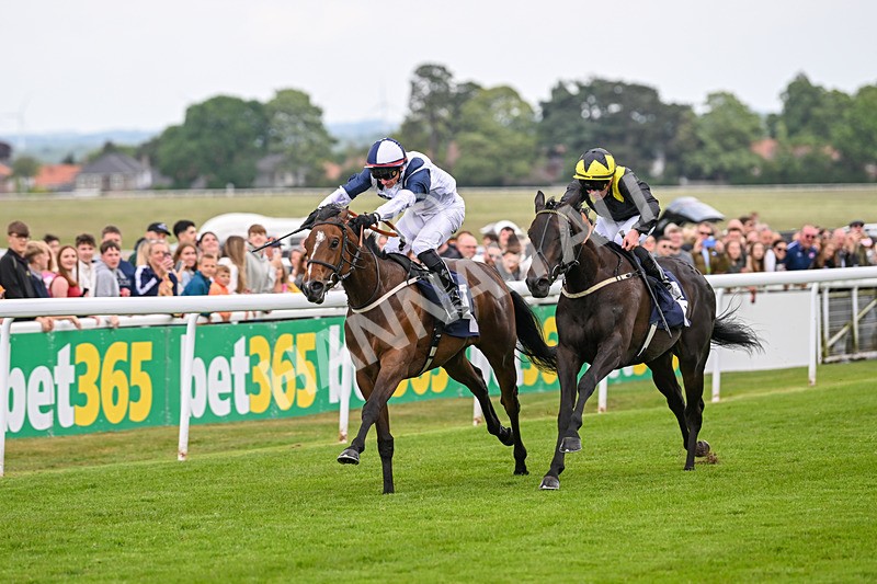 240525-Race 2-Argentine Tango-0268 - Race 2