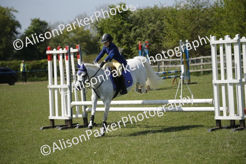 20250427-2324 - Class 13 - Novice Jumping 60cm