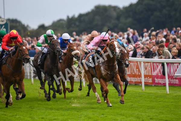 250823-Race 4-Live In The Dream-0654 - Race 4 3.35pm Coolmore Wootton Bassett Nunthorpe Stakes