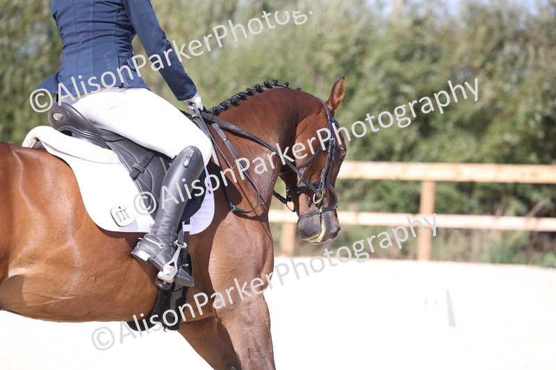 20260905-1490 - Class 5 - Novice 2