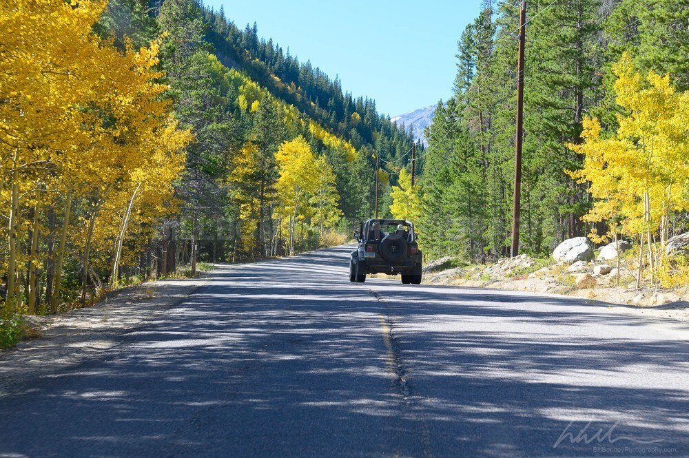 DSC_2801 - Roads