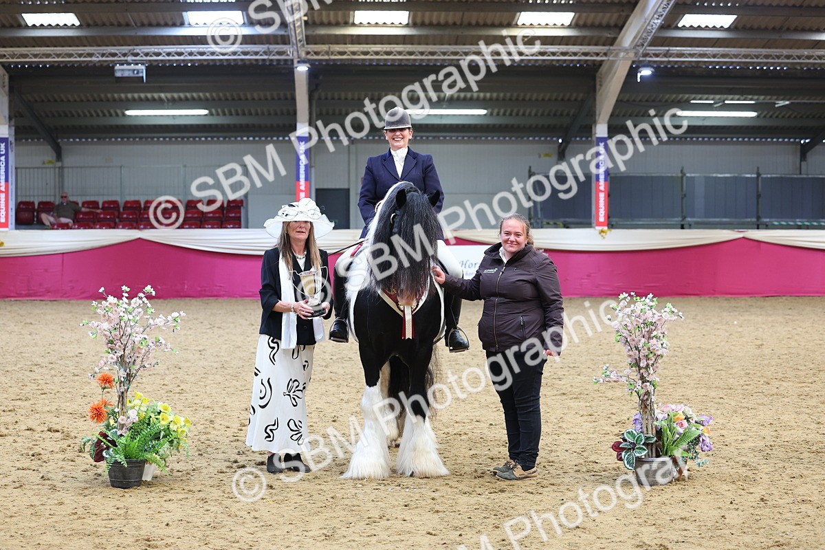 SBM_24201 - Class 905 - Supreme Final - Ridden Veteran