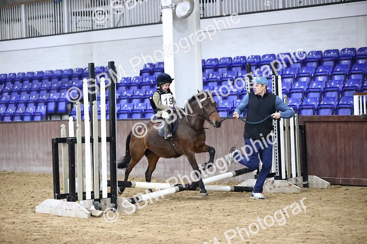 SBM_000038 - Class 1 - Fox Farriers 30cm