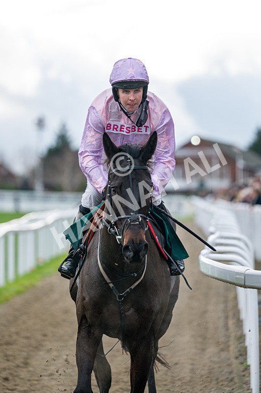 121225-Race 2-Sixmilebridge-3342 - Race 2