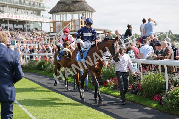 yr18082021r5-27 - Race 5 4.10pm Sky Bet Stakes