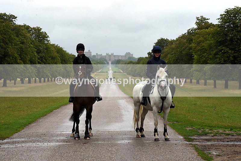 TT3_8189 - Time at Crossing 09:15 to 10:15