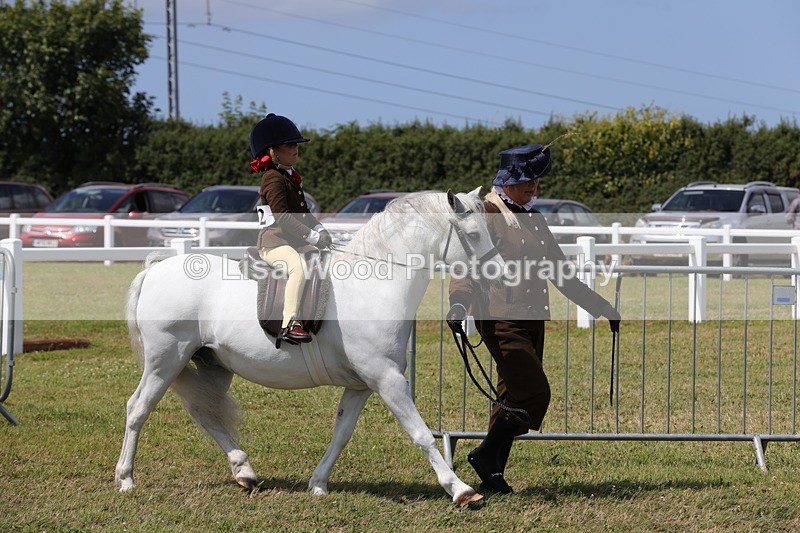 1X9A5079 - Class 36: NPS M&M Lead Rein