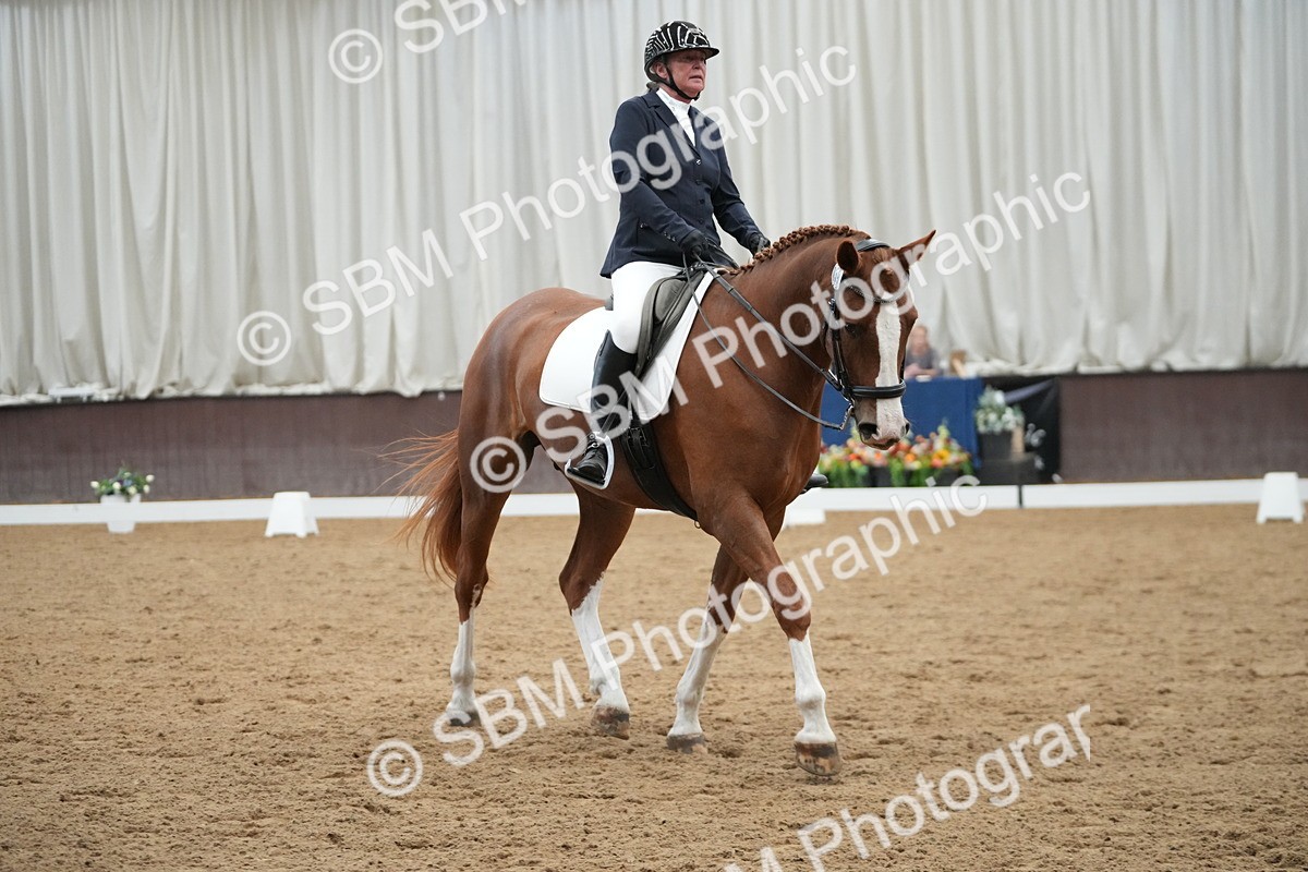 SBM_004441 - Class 11 - Elementary 2 Champs