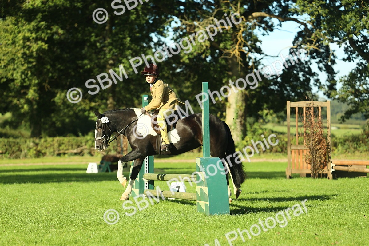 SBM_36407 - S29 - Novice & Newcomers Working Hunter Pony