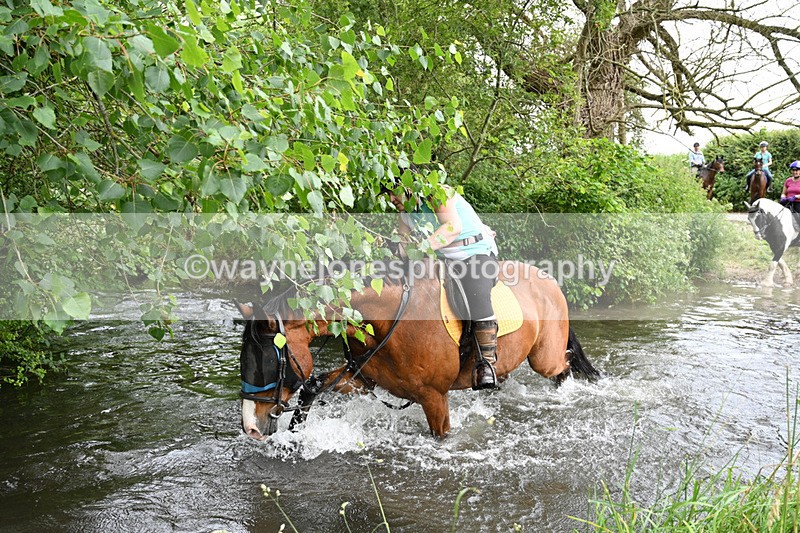 WJ7_2481 - Camera 2 Water Crossing