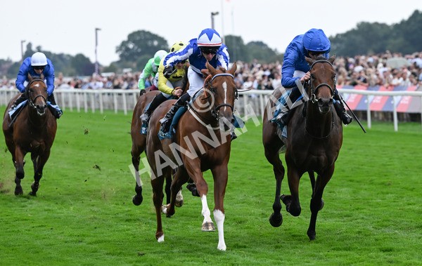 230825-253 Revival Power - Race 6 4.45pm Julia Graves Roses Stakes
