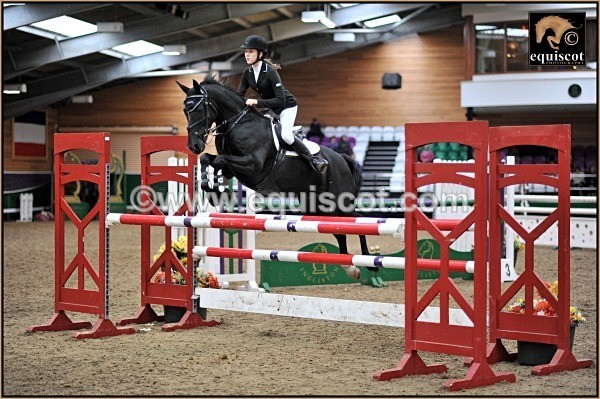 equiscot 8347 AILSA BLACK - PADDIOCO - 2012 PRIZEWINNERS INDIVIDUAL PICS
