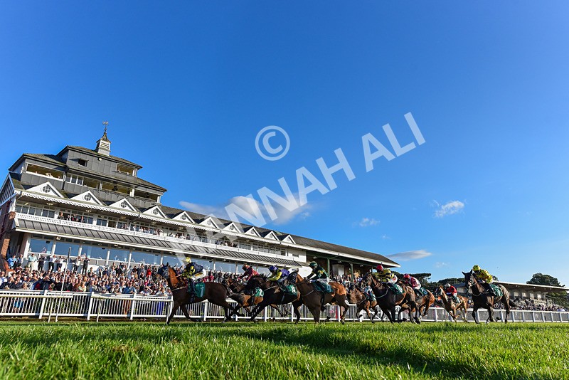 160824-Race 5-Ready Freddie Go-3737 - Race 5