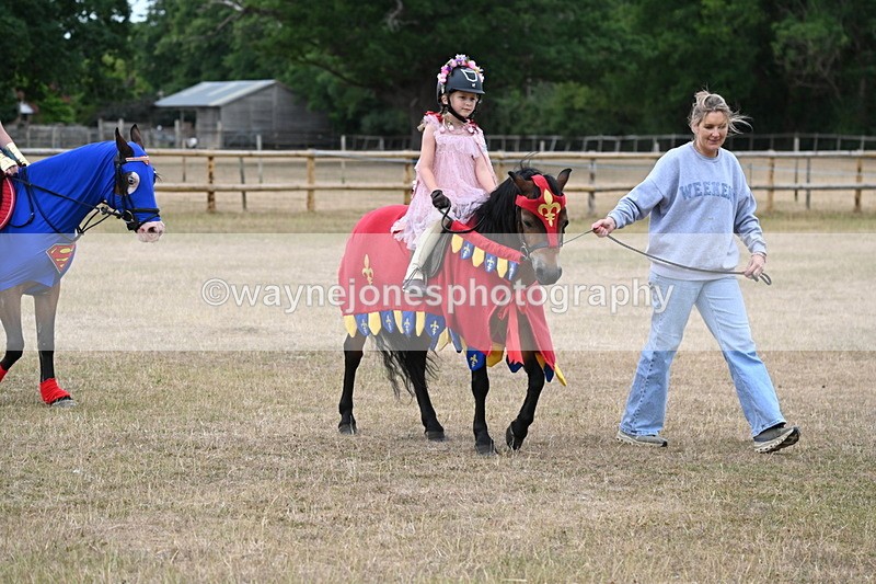 WJ6_8652 - Class 11 Fancy Dress