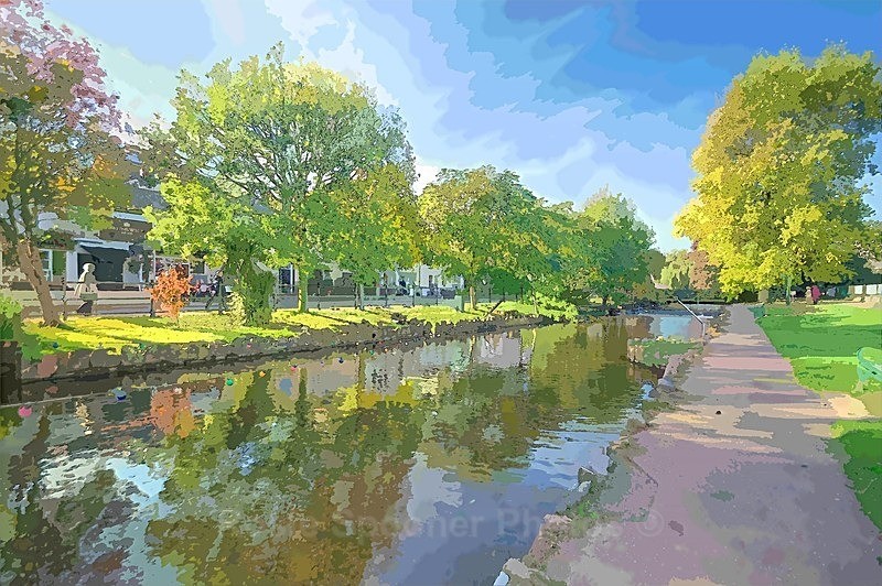 DW23 - Beautiful reflections in Dawlish Brook South Devon - Greetings Cards Dawlish