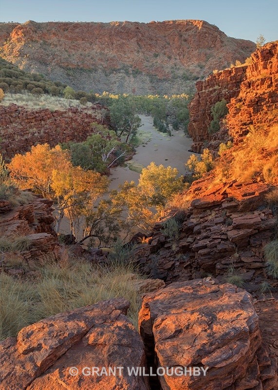 Trephina Gorge East MacDonnell range - Australia
