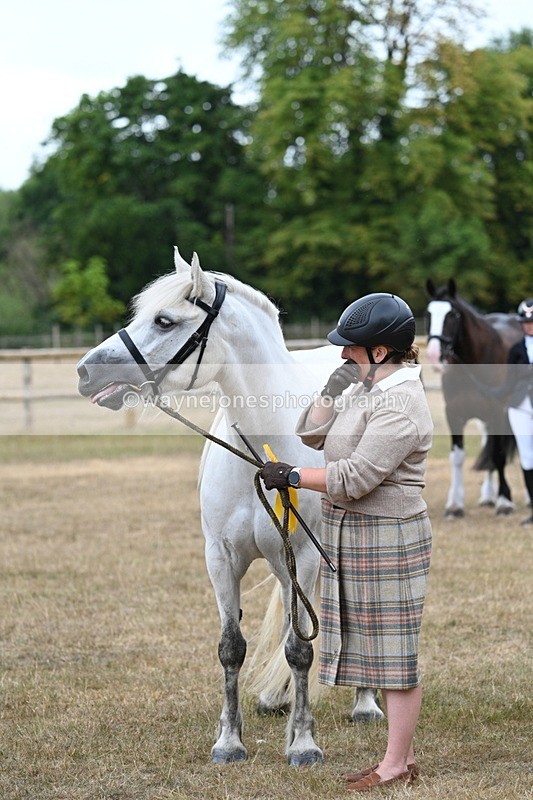 WJ7_9281 - Class 4a Prettiest Mare 14.2hh and over