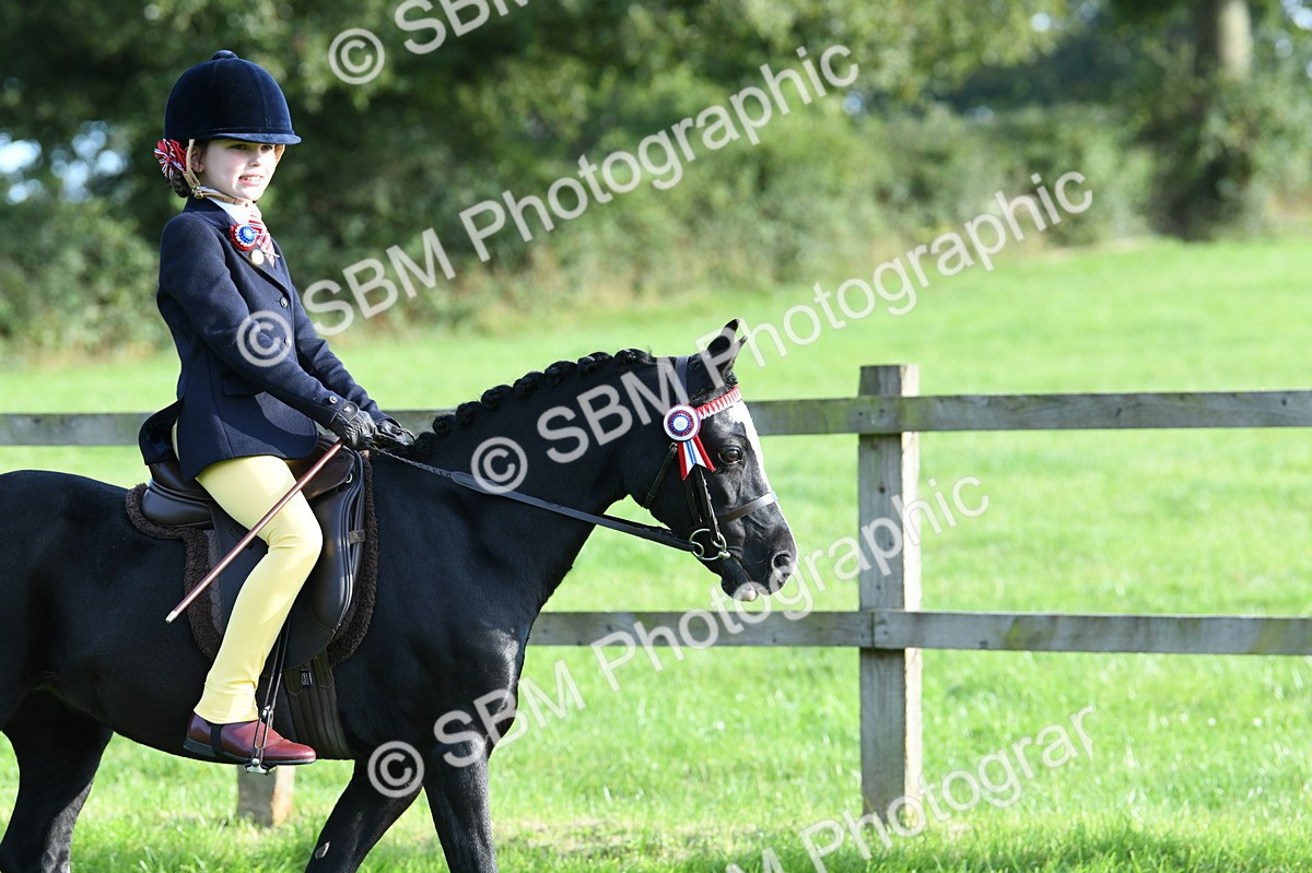 SBM_52352 - S22 - 1st Ridden Show & Show Hunter Pony