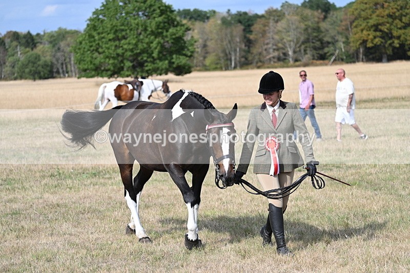 WJ7_8047 - In-hand Championship