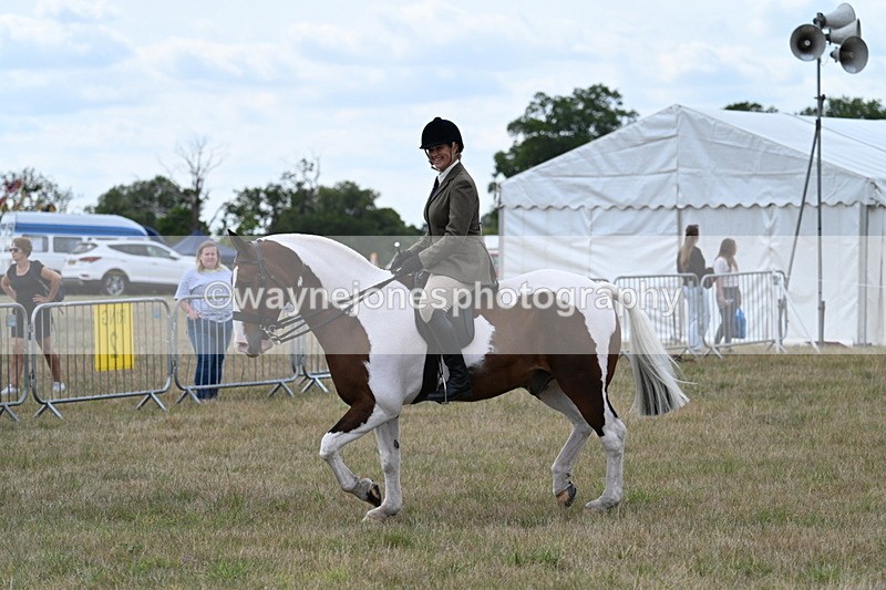 WJ7_4986 - Class 12 Ridden Cob