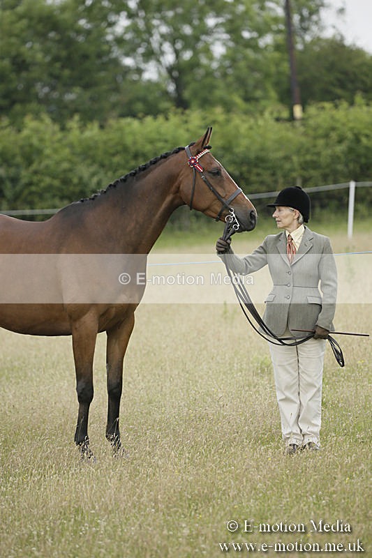 B230619-0252 - Bourne Valley Riding Club Summer Show 23/06/19