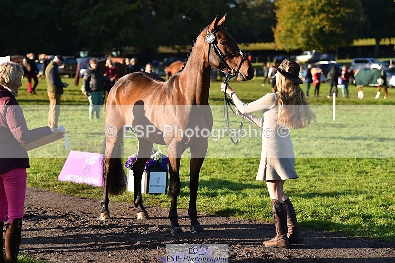 231022-092342-21753 - 617-MR.MISCHIEVOUS-Megan.Brown-TrotUp+SJ