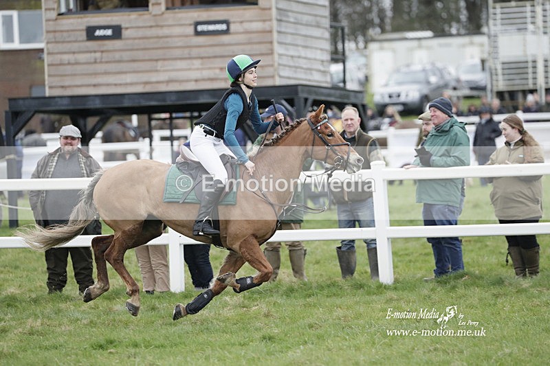 PtP 260323 0052 - New Forest Hounds Point-to-Point Larkhill 26/03/23