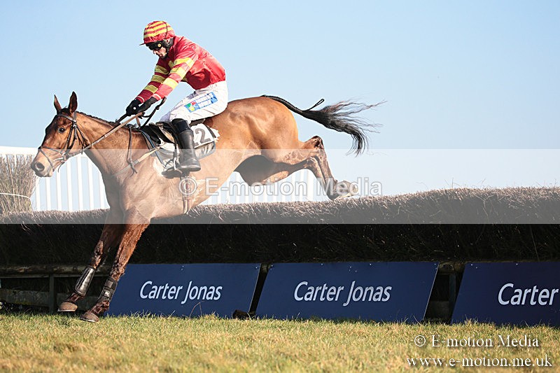PtP 230219 541 - Vine & Craven Point-To-Point - Barbury 23/02/19