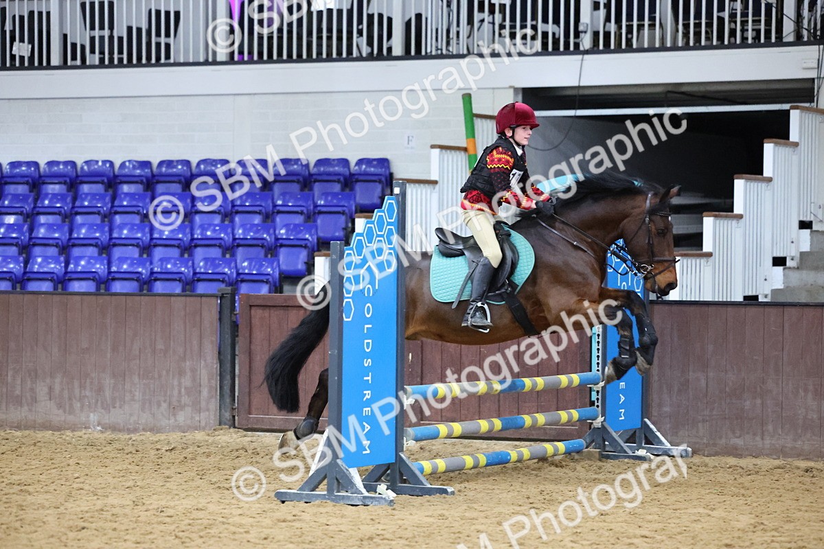 SBM_001041 - Class 3 - Christmas Tree Stakes - 60cm