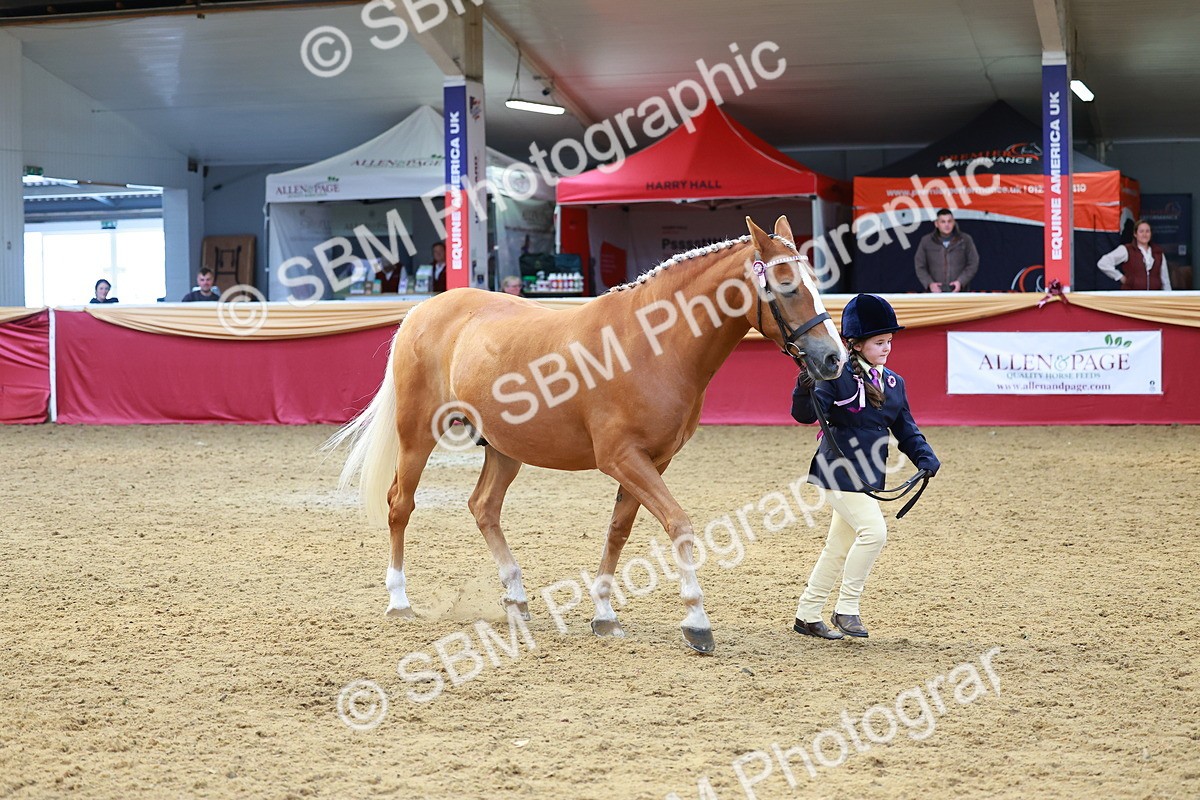 SBM_04246 - Class 9R - IH Pre-Vet