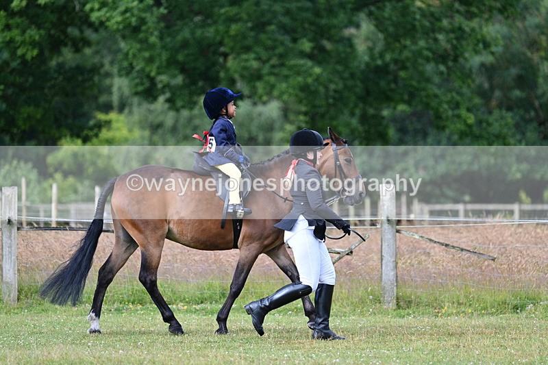 WJ7_4358 - Class 1 Lead Rein Pony