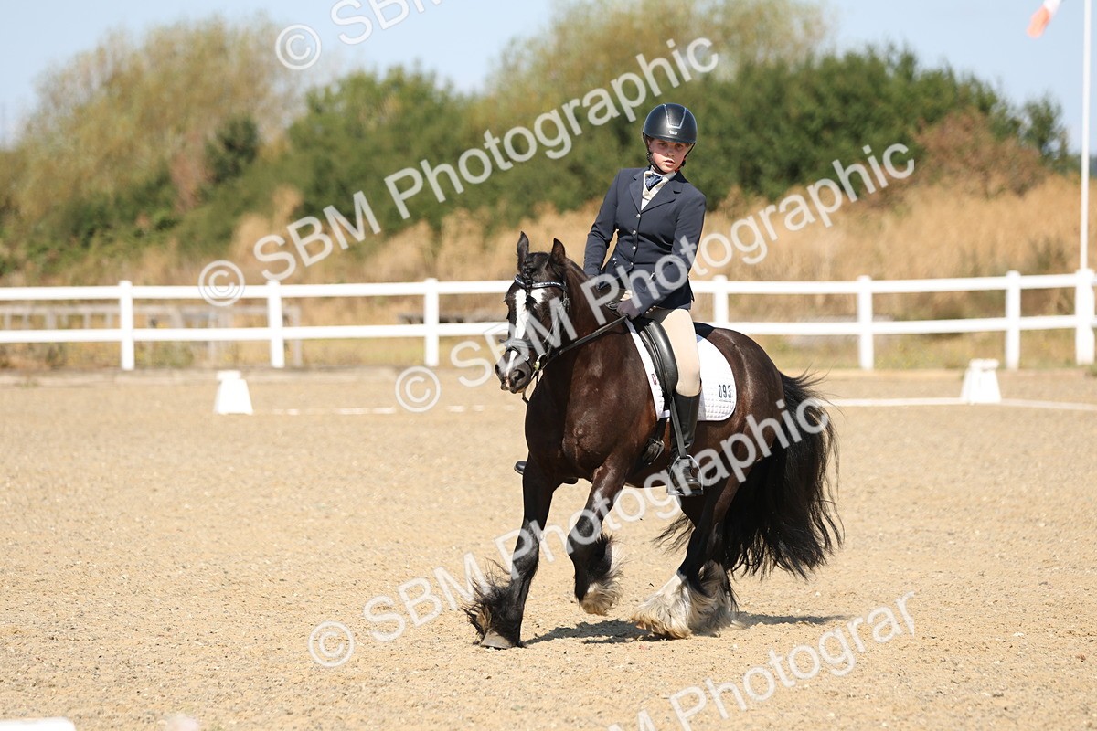 SBM_013540 - Class 1 - P5 Bronze 10.38.12.02