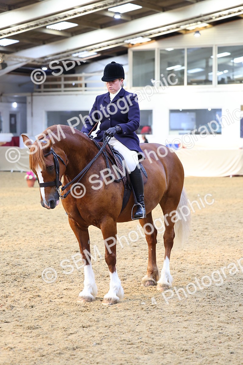 SBM_24656 - Class 906 - Supreme Final - Ridden Pre Vet