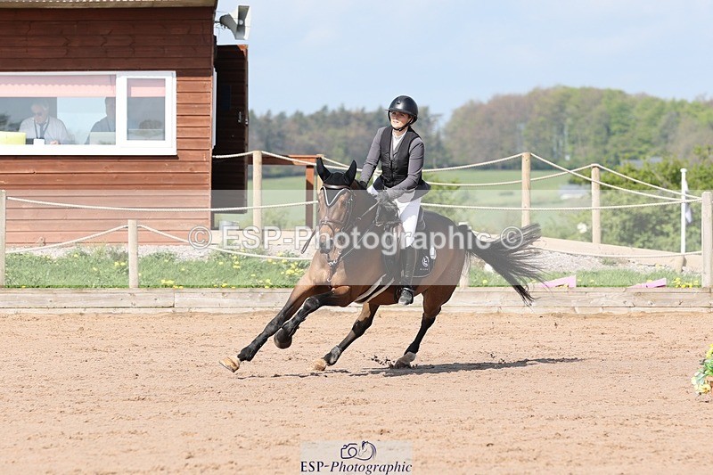 250427-102320-15329 - Cls 32 Young Horse 6yr old