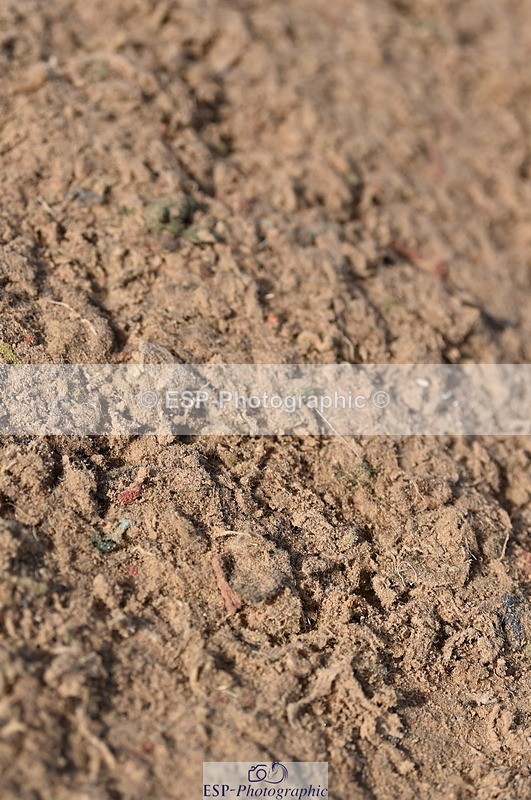 231015A-105828-07361 - Cls 23 Discovery & 1m Open