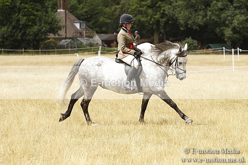 _BS_0997 - Working Hunter Championship BVRC Show 2018