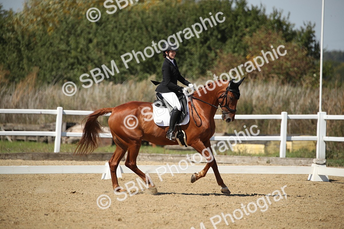 SBM_005122 - Class 11 - Novice 5 - 11.41-12.58