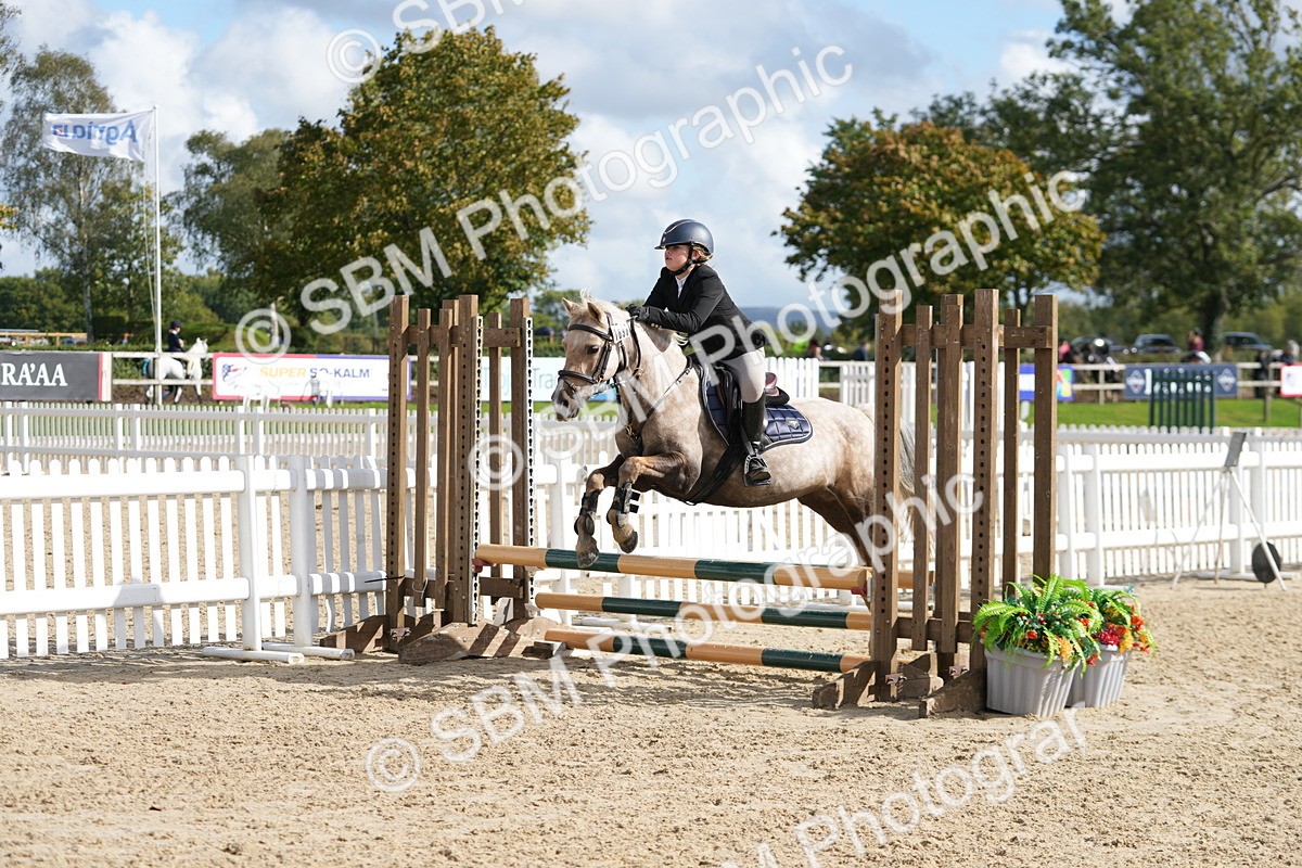SBM_48543 - J7 - Junior Pony 60cm Championship