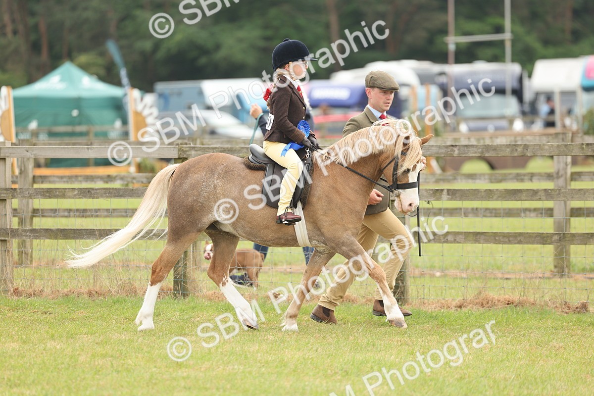 SBM_06941 - Class 74-75 - M&M Lead Rein and First Ridden Pony