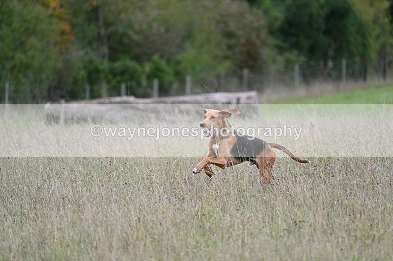 WJ7_3604 - Camera 1 Line 1