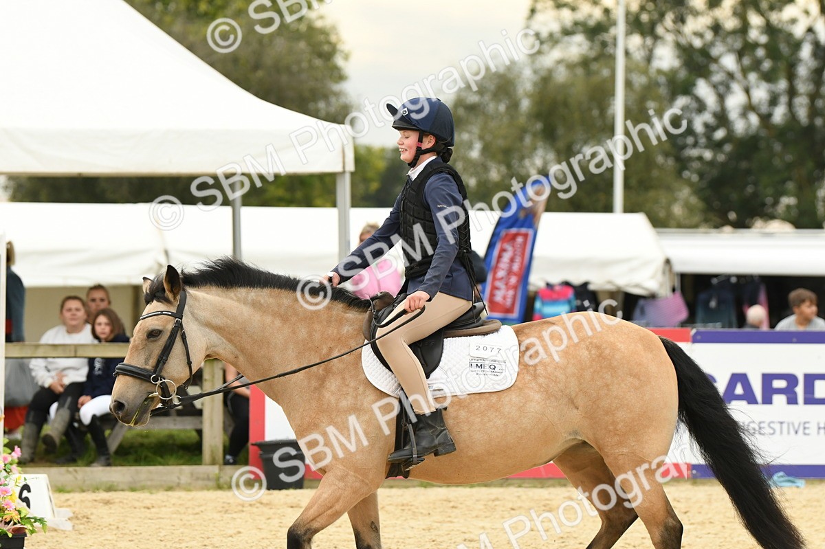 SBM_73116 - J16 - Junior Pony 75cm Championship