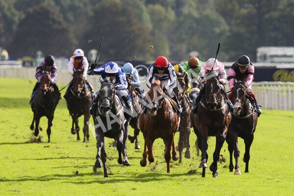yr24092021r4-15 - Race 4 3.15pm William Hill Play Responsibly British EBF Restricted Novice Stakes