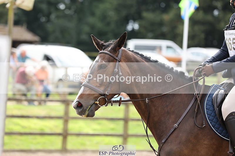 240804-150334-16253 - 665-Natalie_Hingley-HENDRICK.S