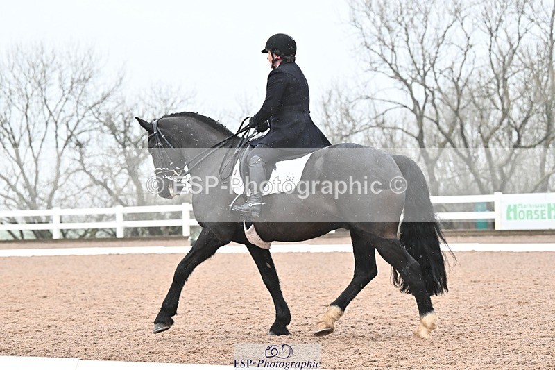 250215-103135-03042 - 244-Suzanne.Clark-Ballinamurra.Billy