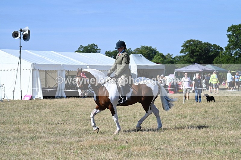 WJ7_3281 - Class 8 Ridden Tack & Turnout