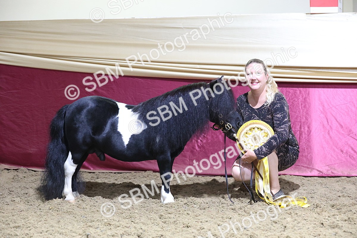 SBM_21622 - Class V - Champion of Champions