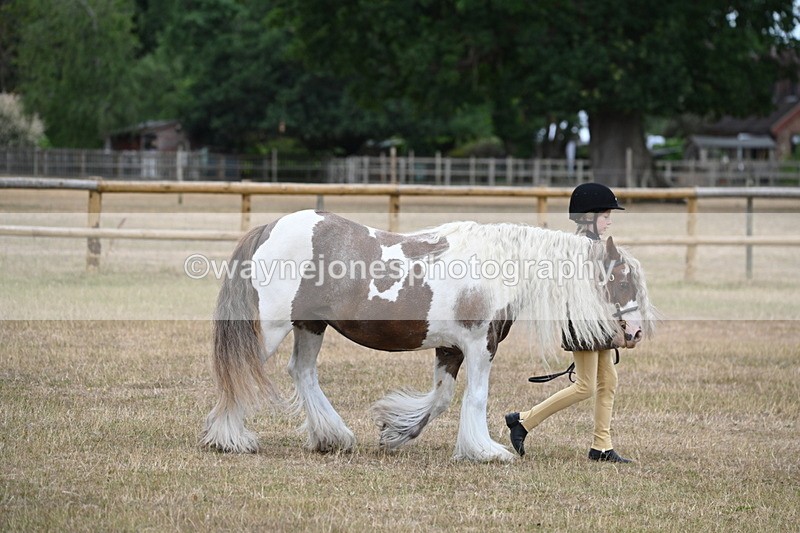WJ6_7863 - Class 10 Coloured in Hand